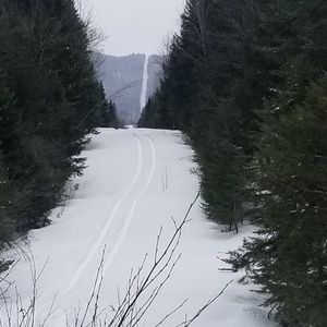 Meet your Posher, Nicholas